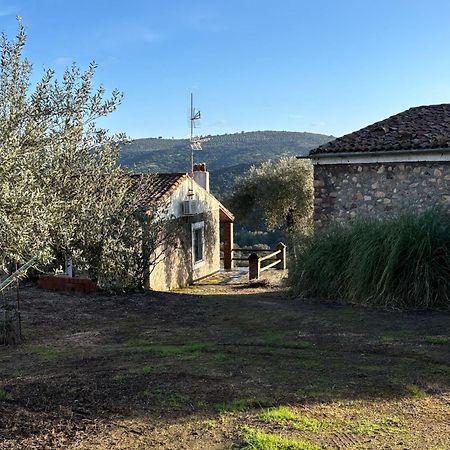 Casas Rurales Los Llanos Fuentes De Leon Exterior photo