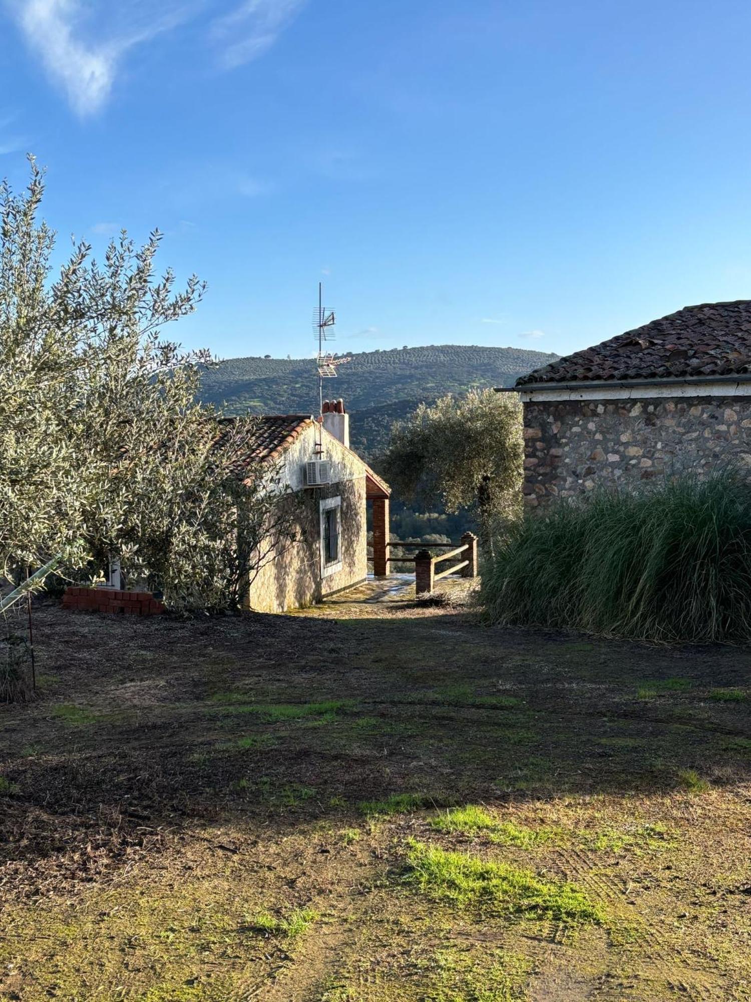 Casas Rurales Los Llanos Fuentes De Leon Exterior photo