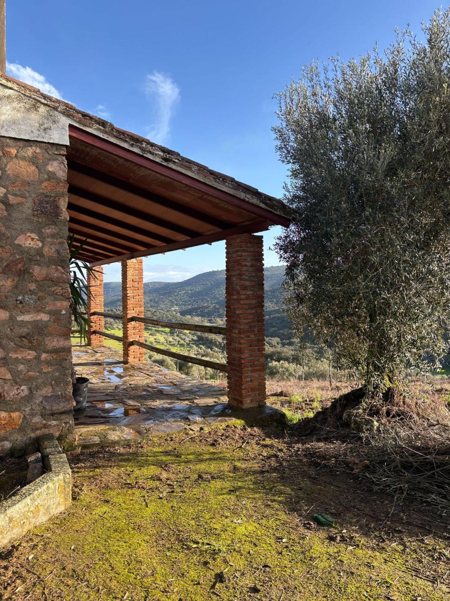 Casas Rurales Los Llanos Fuentes De Leon Exterior photo